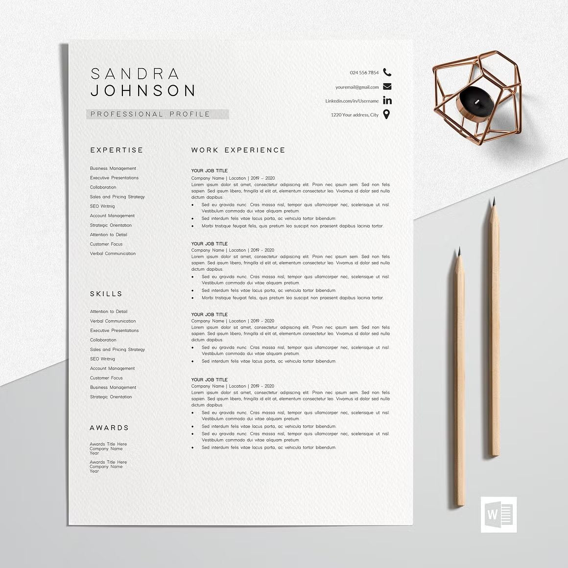 Modern Resume Template - Sandra Johnson