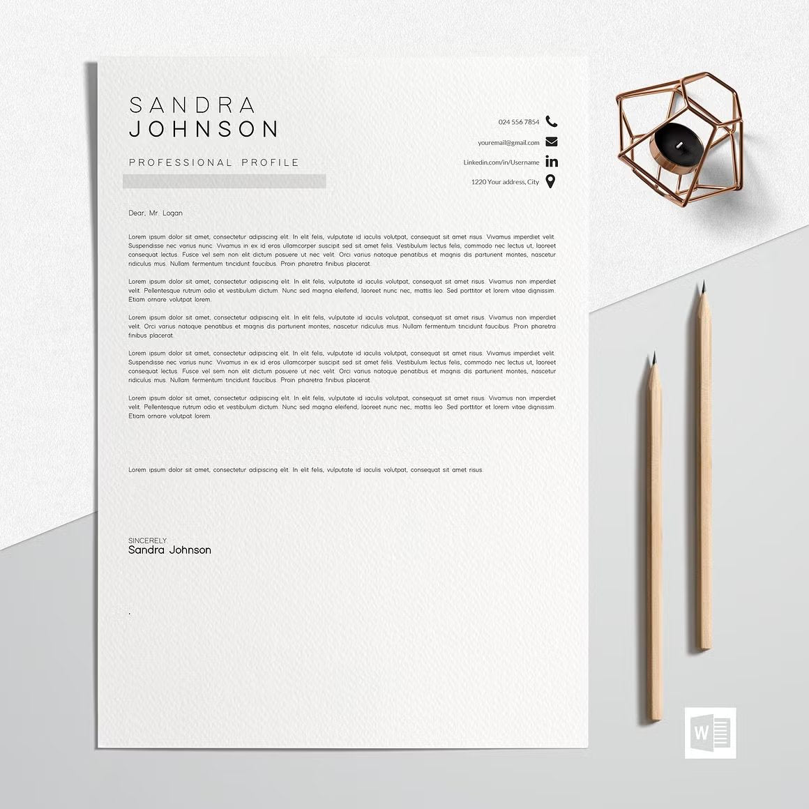 Modern Resume Template - Sandra Johnson