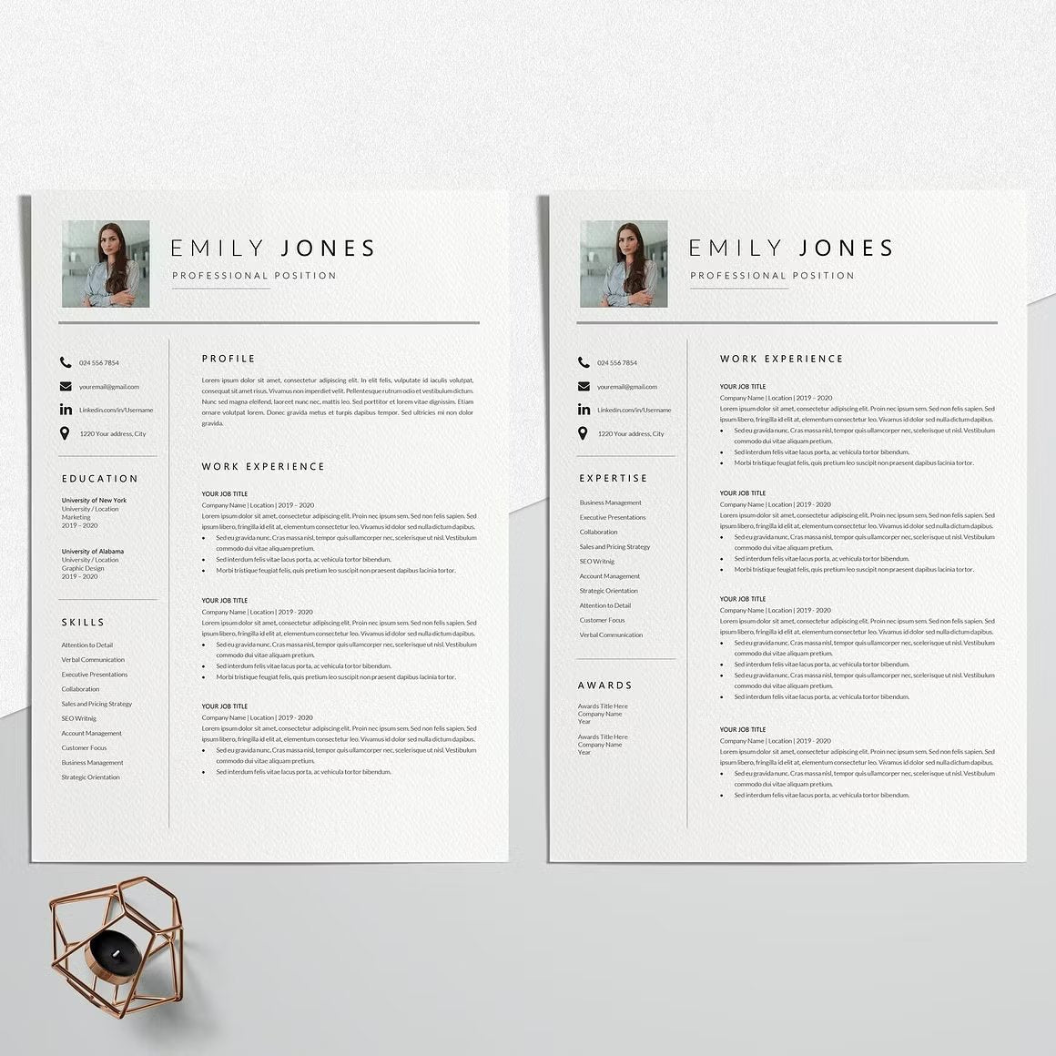 Professional CV Template Word - Emily Jones