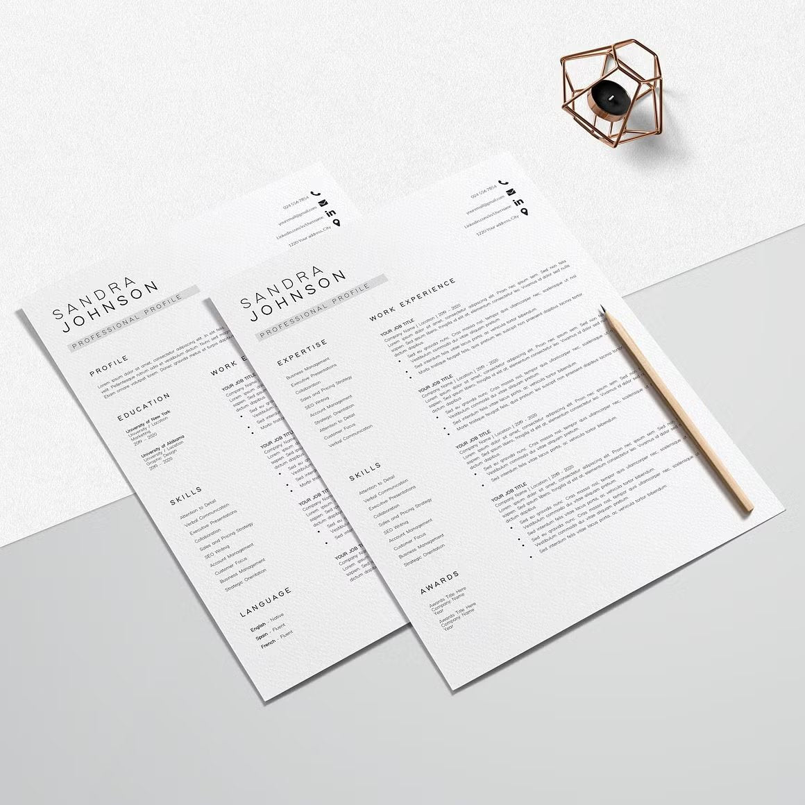 Modern Resume Template - Sandra Johnson