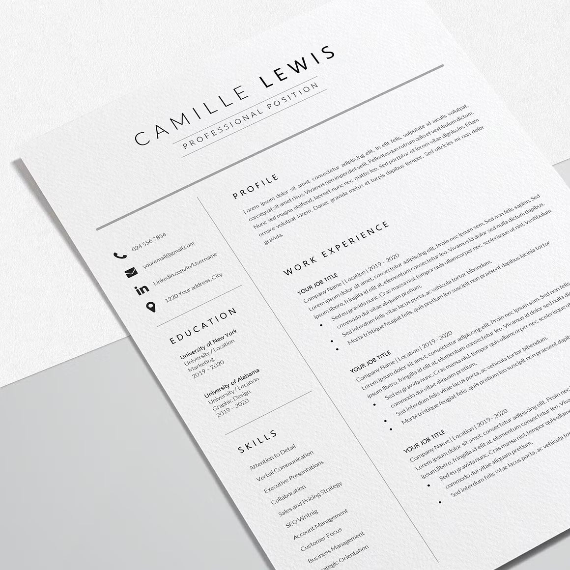 Professional Resume Design Template - Camille Lewis